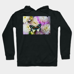 Butterfly On White And Purple Dahlias Hoodie